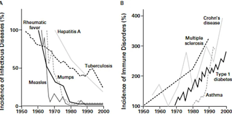 Figure  1.  Hygiene  hypothesis.  Inverse  relationship  between  the  incidence  of  prototypical  infectious diseases (Panel A) and the incidence of chronic immune disorders (Panel B) from 1950  to 2000