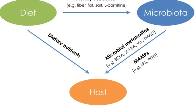 Figure  2.  Diet-microbiota-host  interaction.  Diet  provides  substrate  to  gut  microbiota,  determining  microbial  metabolic  pathways  and  composition