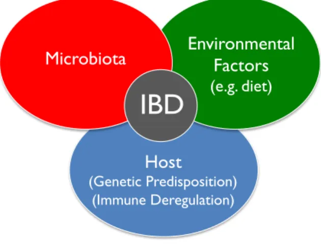 Figure  3.  Interaction  of  various  factors  contributing  to  chronic  intestinal  inflammation  in  a  genetically susceptible host