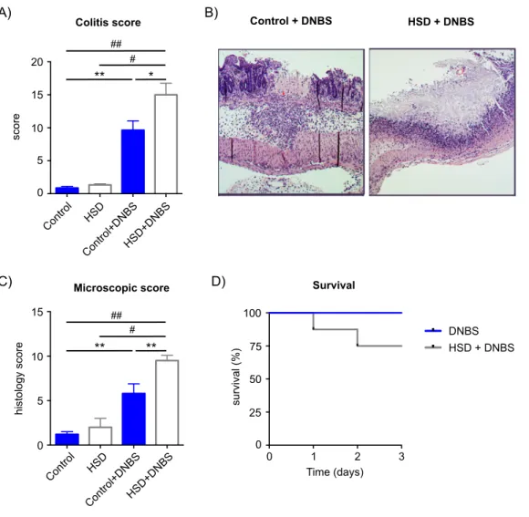 Figure  4.  High  salt  diet  exacerbates  DNBS  colitis.  A:  DNBS  colitis  macroscopic  scores  at  endpoint (day 3) in four groups of mice: Control (control diet, 50% EtOH vehicle), HSD (high salt  diet, 50% EtOH vehicle), DNBS (control diet, DNBS in 5
