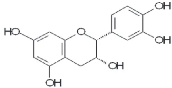 Figure  1.  Structure  of  EPI  (-)  epicatechin  isolated  from  Com- Com-bretum leprosum Mart &amp; Eich.