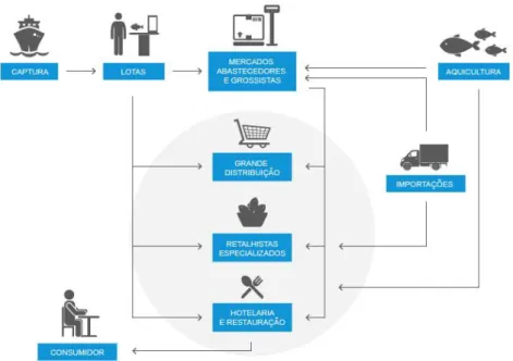 Figura 1 – Circuito comercial dos produtos da pesca (retirado de https://www.acope.pt/peixe-a-mesa/circuito- https://www.acope.pt/peixe-a-mesa/circuito-comercial-do-pescado.html)