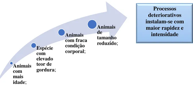 Figura 9 – Fatores intrínsecos que afetam a rapidez e intensidade de processos deteriorativos nos produtos da  pesca