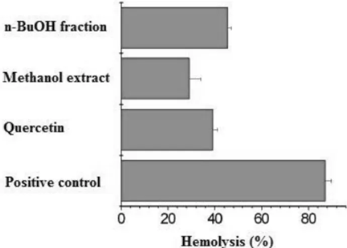 Figure 1. AAPH-induced hemolysis and the protective effect of n-BuoH fraction and  methanolic extract of leaves from M