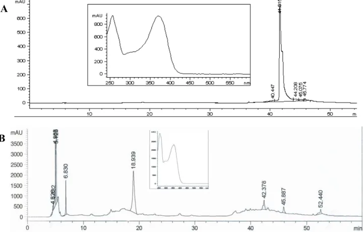 Figure 2. HPLC-DAD chromatograms and respective UV spectrum of compounds 2  (A;   R t  = 18.939 min) and 3  (B; R t  = 41.615 min)
