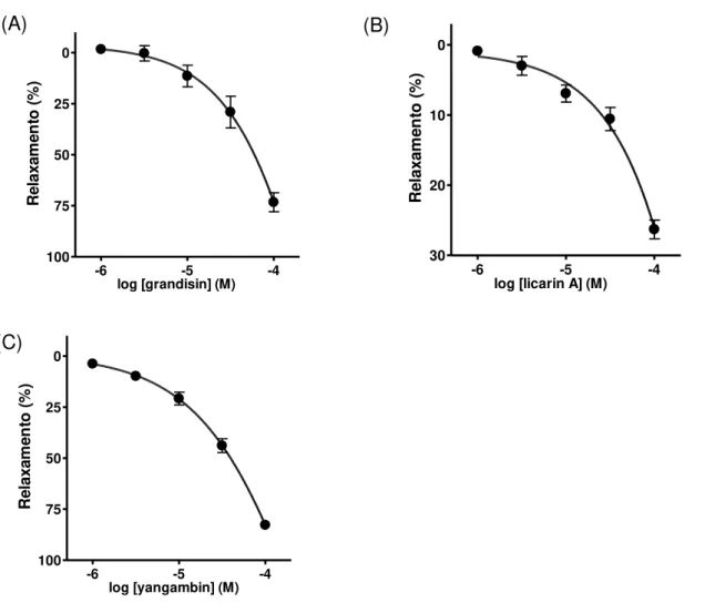 Fig. 6: Efeito vasodilatador das lignanas grandisina (A), licarina A (B) e yangambina (C) em anéis de  aorta com endotélio funcional