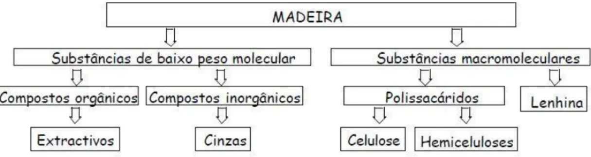 Figura  10-  Esquema genérico dos  componentes  químicos  da  madeira  (Adaptado  de Fengel  &amp; 