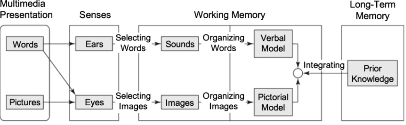 Figure 1. Cognitive Theory of Multimedia Learning 
