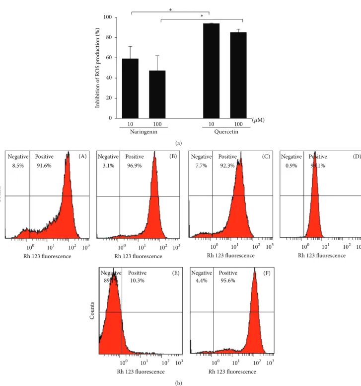 Figure 4: Effects of naringenin and quercetin on ROS production by neutrophils. (a) Neutrophils were preincubated in the presence or absence of naringenin and quercetin (10 and 100 