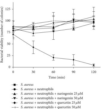 Figure 5: Effects of naringenin and quercetin on the kinetics of the killing of S. aureus by neutrophils