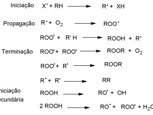 Figura 1 . Mecanismo de auto-oxidação de lipídeos.  5