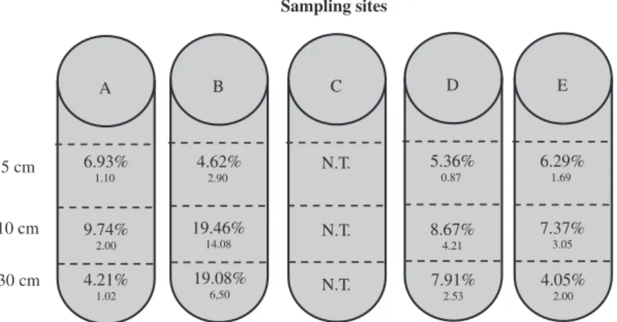 Fig. 3. Percentage mean values of sediment samples for all sampling sites (A – Multipurpose North Terminal; B – Liquid Bulk Terminal; C – São Jacinto Bay (reference site);