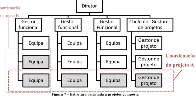 Figura 7 – Estrutura orientada a projetos composta  Fonte: Adaptado a partir de PMI (2013, p