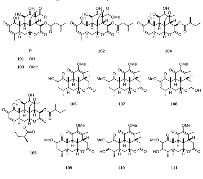 Figure 11. Structures of quassinoids 101-111. 