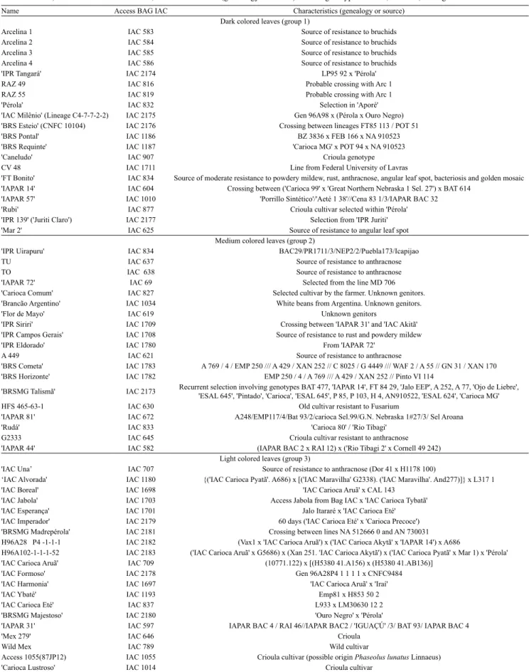 Table 1. Name, access number at BAG IAC, and characteristics (genealogy or source) of bean genotypes of dark, medium, and light color leaf.