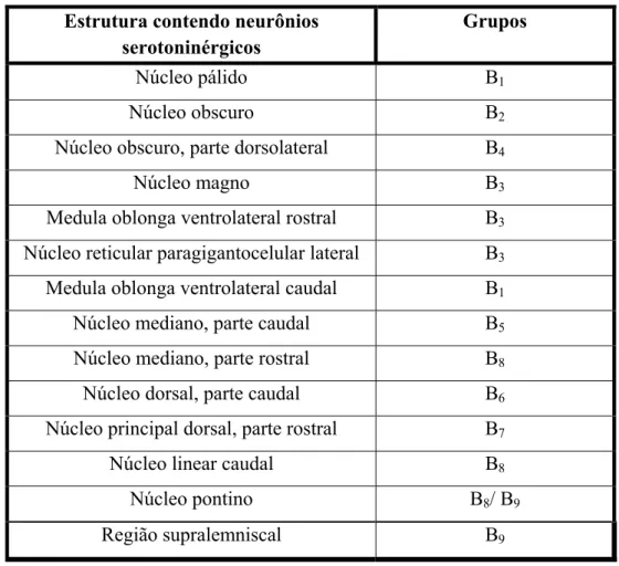 Tabela 1: descrição anatômica dos grupos de células serotoninérgicas da  rafe e da formação reticular, e a classificação correspondente apresentada  por Dahlström e Fuxe (1964)