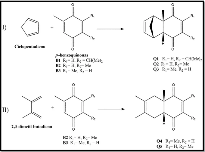 FIGURA 1.4  –  Reação de Diels-Alder entre o ciclopentadieno ou 2,3-dimetil-butadieno  para formação dos compostos Q1-Q5