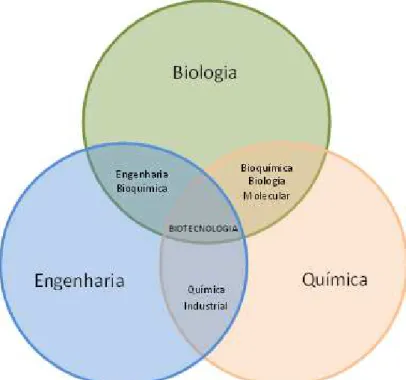 Figura 1 - Representação da interdisplinaridade da Biotecnologia . 