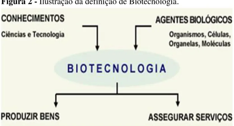 Figura 2 - Ilustração da definição de Biotecnologia. 