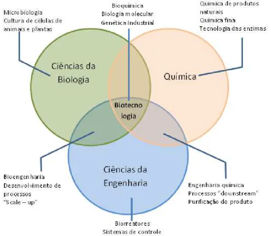Figura 3 - A Biotecnologia e sua característica multidisciplinar. 
