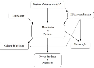 Figura 4 - Tendências e interações da nova Biotecnologia com insumos e produtos. 