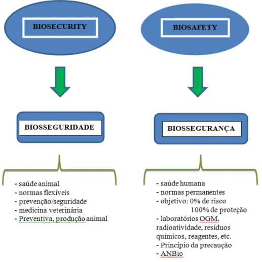 Figura  5  -  Indicação  ampla  e  origem  do  significado  dos  termos  biossegurança  e  biosseguridade.