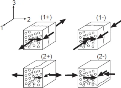 Figura 2.3: Modos de falha (+1) Tracção longitudinal, (-1) Compressão longitudinal, (+2) Tracção transversal, (-2) Compressão transversal [21]