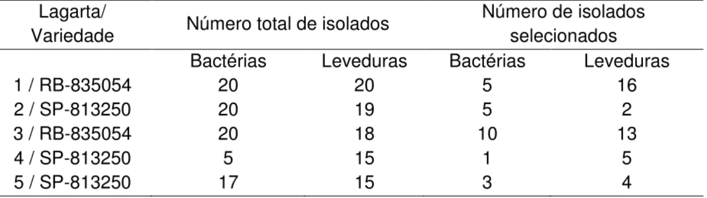 Tabela  2  –  Número  de  total  de  isolados  e  número  de  isolados  selecionados  após  categorização quanto à influência no crescimento de F