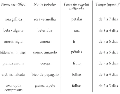 TABELA COMPARATIVA DOS TEMPOS DE EXPOSIÇÃO