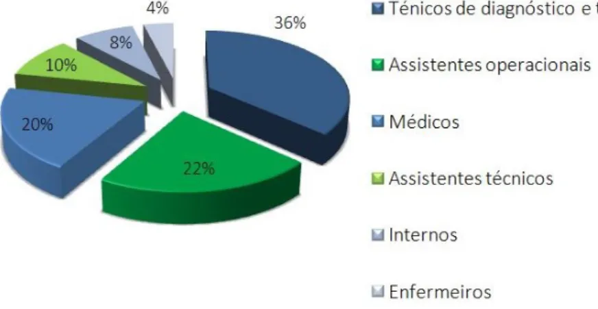 Figura 2.2: Número de profissionais efetivos do serviço de Radiologia do Hospital de São José em 2017.
