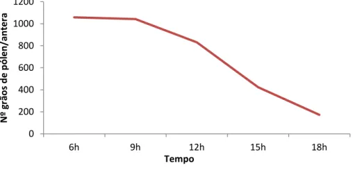 Figura 12. Disponibilidade de pólen ao longo do dia em flores de Solanum melongena  L