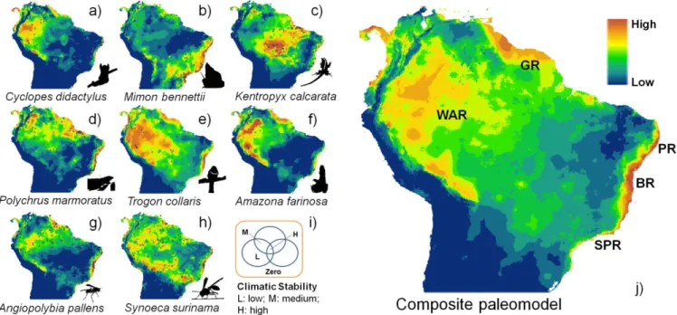 Fig. 2 Putative refuges of two mammals (a and b), two reptiles (c and d), two birds (e and f),  two paper wasps (g and h) and the composite paleomodel (j) of these eight widely disjunct  species  in  South  America
