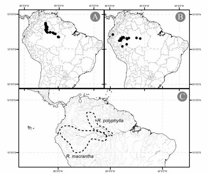 Figura 4: Mapas de distribuição das espécies amazônicas do gênero Rauvolfia com distribuições restritas
