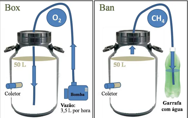Figura  2.  Ilustração  do  método  de  produção  dos  biofertilizantes  aeróbico  (Box)  e  anaeróbico (Ban) 