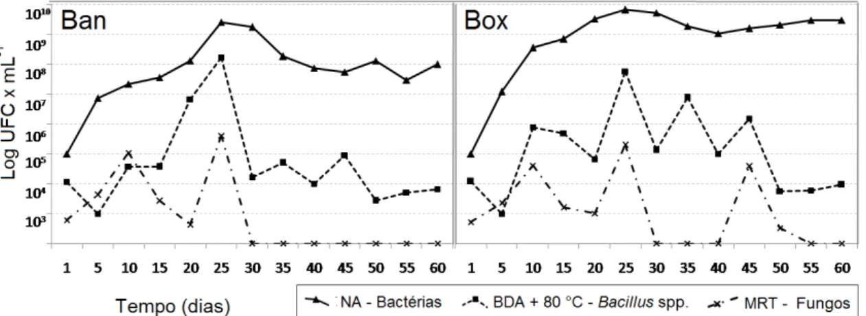 Figura  9.  Populações  de  grupos  microbianos  presente  em  Ban  e  Box,  ao  longo  do  tempo