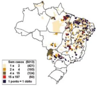 Figura 1: Distribuição de casos notificados no Brasil em 2006. 