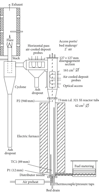 Figure 1: Fluidized-bed reactor (TC = thermocouple, P = pressure tap, and D = disengagement thermocouple).