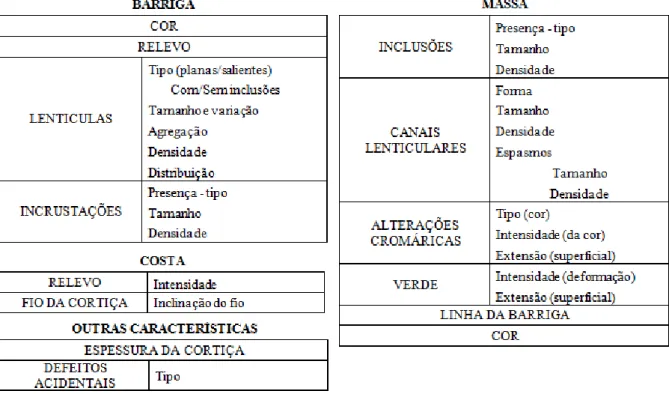 Figura 2.1 – Características morfológicas das cortiças utilizadas na classificação visual