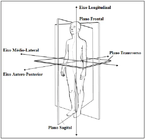 Figura 1 – Principais planos anatómicos de movimento e eixos de rotação. Adaptado de Knudson (2007, p