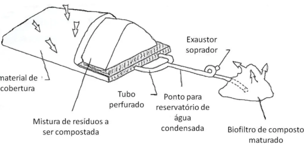 Figura 5. Sistema de reator aberto em leira estática arejada (RUSSO, 2003). 