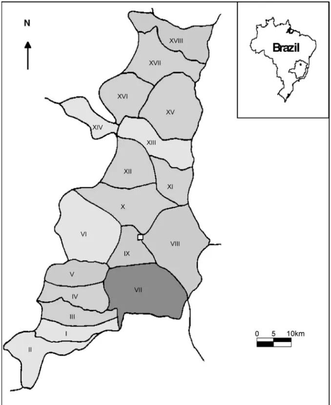 Fig. 2. Physical map of the working area of the municipality of Montes Claros City, Minas Gerais State, Brazil (scale: 1:200,000).