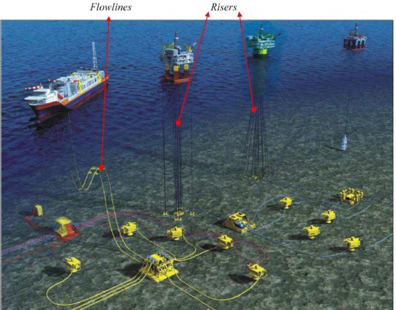 Figura 3.2 – Ilustração da infraestrutura submarina de dutos, com detalhe dos risers e  flowlines (ProsQuip Energy, 2012)