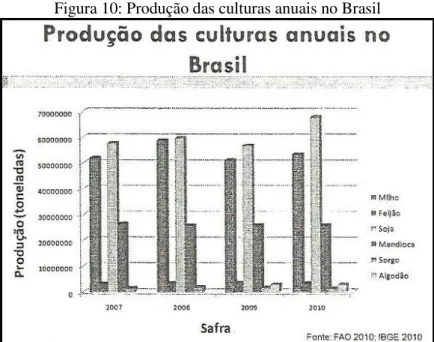 Figura 10: Produção das culturas anuais no Brasil 