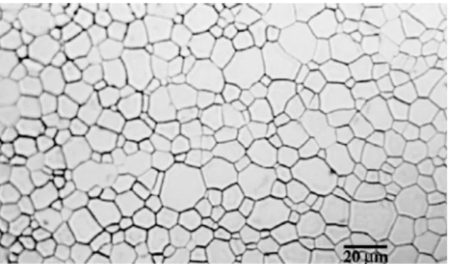 Fig. 1. Typical microstructure of a UO 2 polycrystal used in this work.