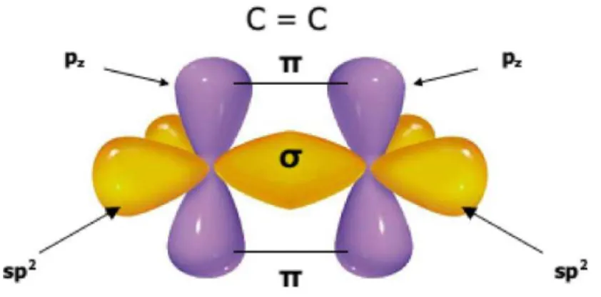 Figura 3 – Orbitais híbridos do carbono que formam ligações σ e π [12].