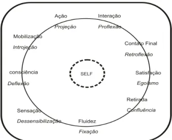 Figura 1. O “Ciclo do Contato” baseado no modelo apresentado por Ribeiro (1997)