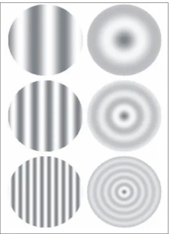 Figura 1. Exemplos de estímulos de freqüências es- es-paciais (à esquerda) e radiais (à direita) de 0,5; 1,0 e 2,0 cpg, respectivamente de cima para baixo