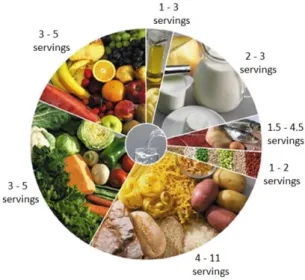 Fig. 1. Recommended daily doses according   to the Portuguese Food Wheel 