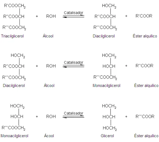 Figura 4 – Etapas da reação de transesterificação, com formação dos intermediários  (Knothe, G.; Van Gerpen, J.; Krall, J.: 2005)