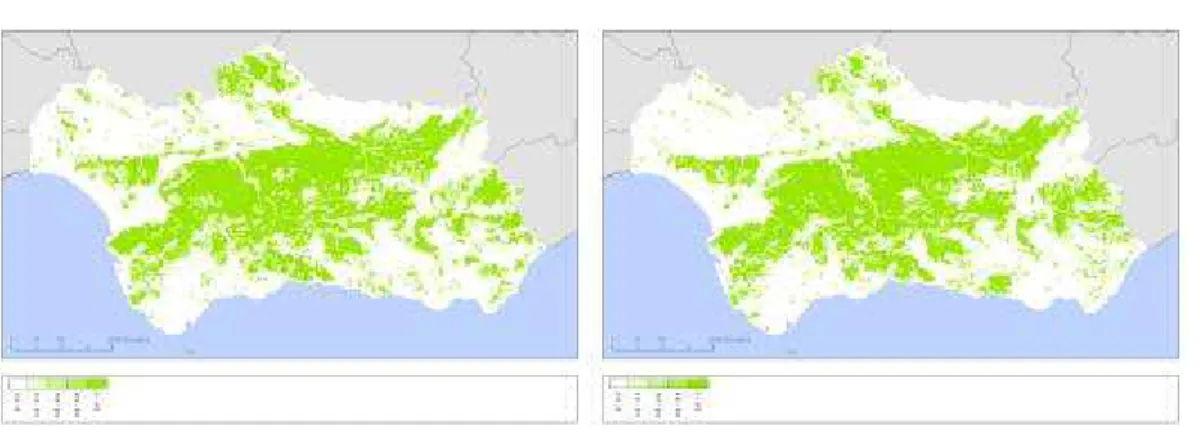 Figura 17 Mapas de densidade de ocupação do solo Agrícola, em Andaluzia, 1987 e 1995 (CMAA, 2006f)